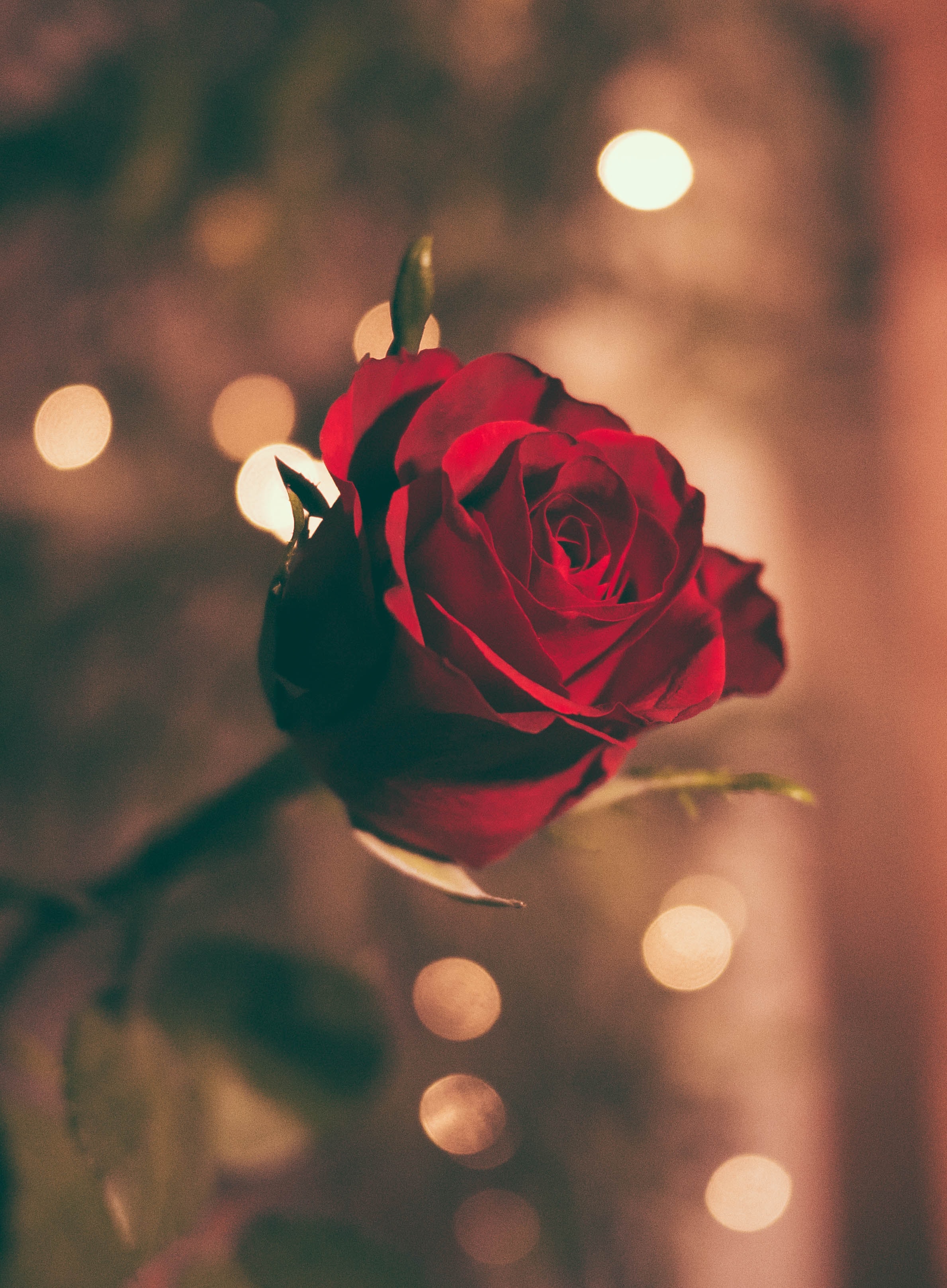 Jamie Street C6cvxjmxwqs Unsplash
